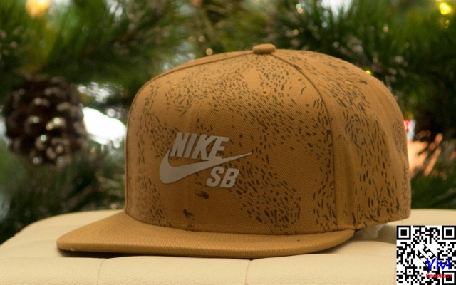 Nike SB Snapback