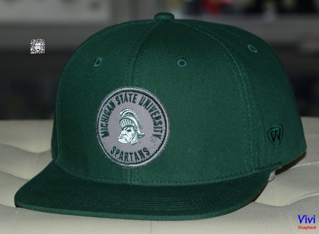 Top of the World Michigan State Spartans Snapback