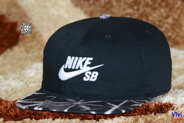 Nike SB Seasonal Snapback