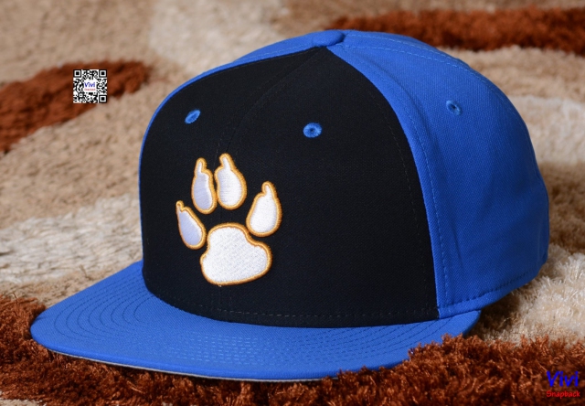 Nike Clemson Tigers Fitted Snapback