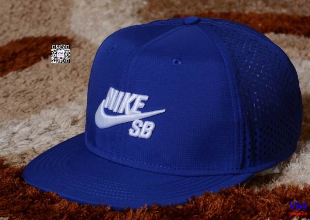 Nike SB Performance Snapback In Blue