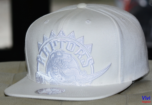 Mitchell & Ness Toronto Raptors Cropped XL Logo Snapback Full White